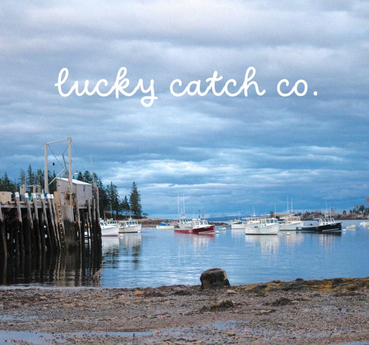 Harbor scene with boats and 'lucky catch co.' text